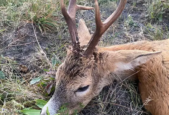 Whatsapp Image 2022 08 13 At 20.23.24