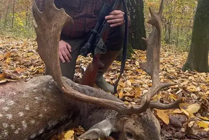 Whatsapp Image 2023 05 25 At 18.35.01