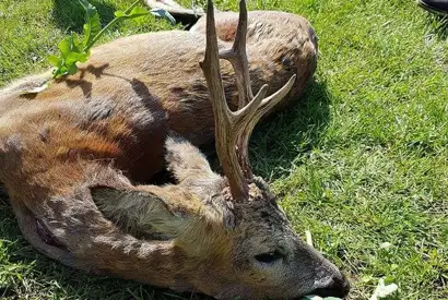 405713593 1112704096695741 7962497496345279160 N