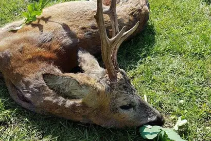 405713593 1112704096695741 7962497496345279160 N