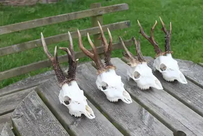 406427805 1113874319912052 348116669797867809 N