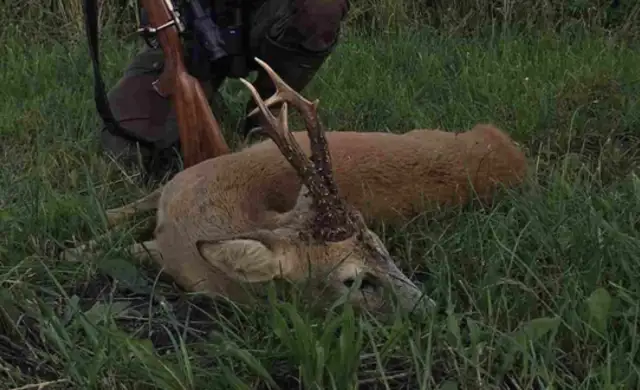 Skærmbillede 2022 07 19 Kl. 08.52.50