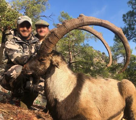 Skærmbillede 2023 12 04 162420