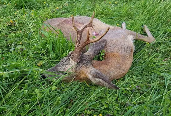 362606807 1028757831757035 1012522079268816755 N