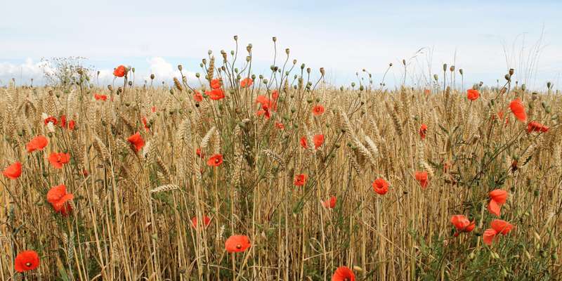 Design Uden Navn (6) Min