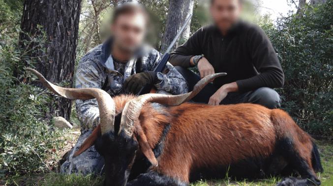 Skærmbillede 2024 12 04 125641 Min