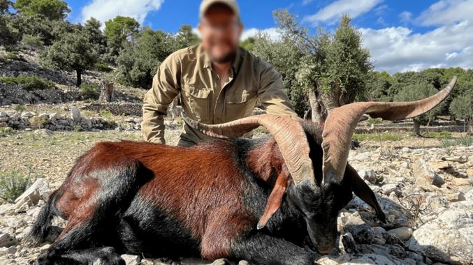 Skærmbillede 2024 12 04 125746 Min