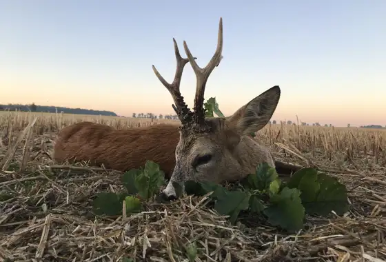 405696075 1112704803362337 125244341983299942 N