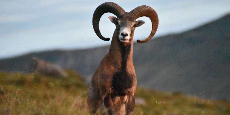 Skærmbillede 2024 05 07 163953