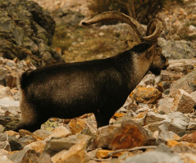 Skærmbillede 2024 10 18 135815 Min