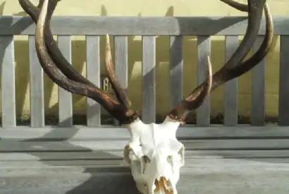 366231547 1042972397002245 2019467145256857874 N