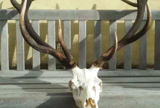 366231547 1042972397002245 2019467145256857874 N