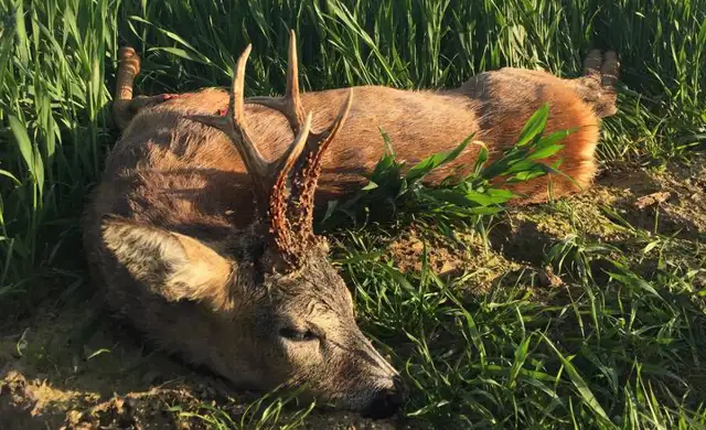 362302074 1029735361659282 7449076052501925854 N