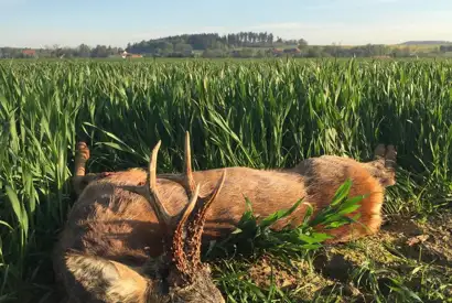 362302074 1029735361659282 7449076052501925854 N