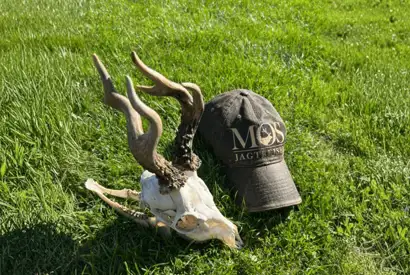 Whatsapp Image 2025 07 30 At 09.07.35