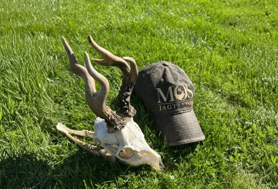 Whatsapp Image 2025 07 30 At 09.07.35