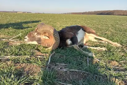 330209759 739300941095022 7667833723488928944 N