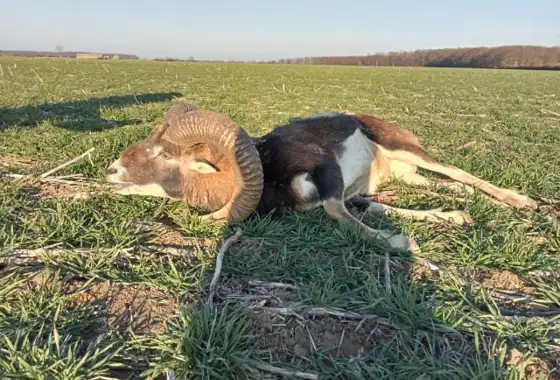 330209759 739300941095022 7667833723488928944 N