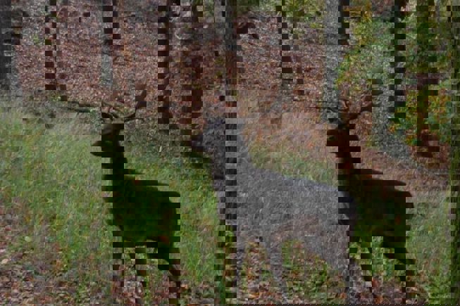 13C418c6 1Da0 4A66 B477 A066076e5eaa
