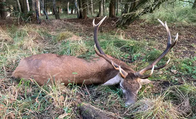 6D9c8917 6C1d 48Ea 97D8 86507Fe1a80a