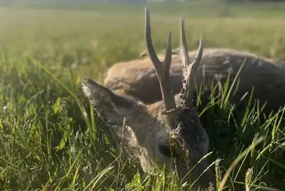 372814816 1056088635690621 7871183734821383571 N