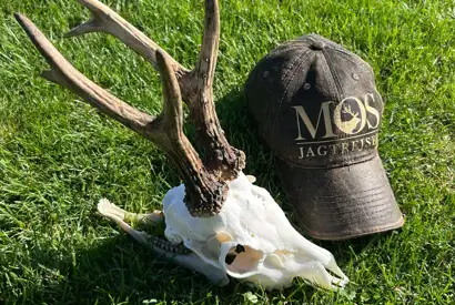 Whatsapp Image 2025 07 30 At 09.07.35 (1)