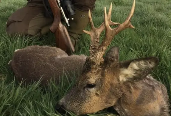 Skærmbillede 2022 07 19 Kl. 08.50.12