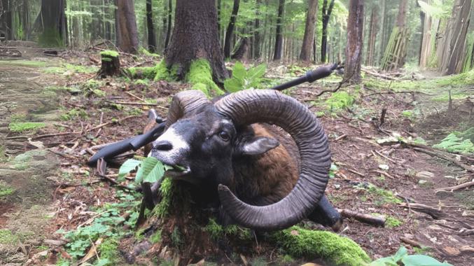 Billeder Hjemmeside (1) Min