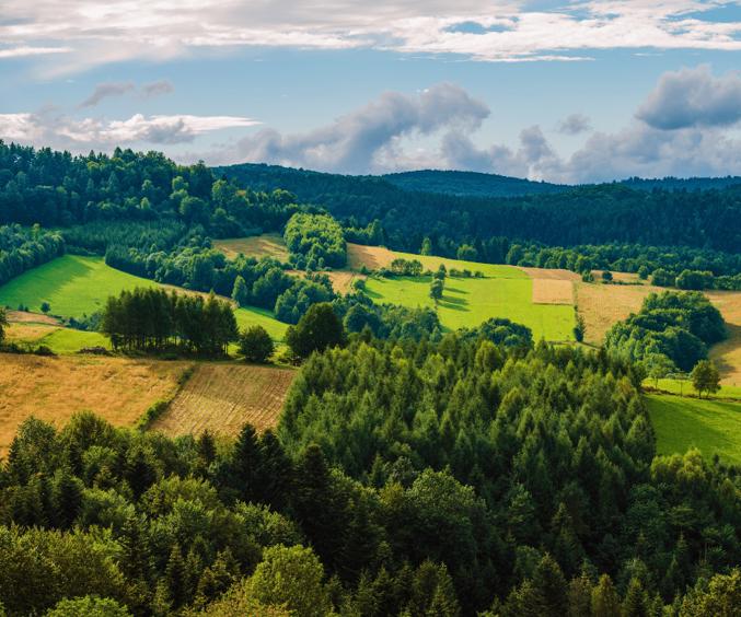 Billeder Hjemmeside (2) Min