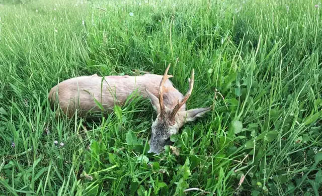 Skærmbillede 2022 07 19 Kl. 08.50.53