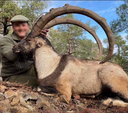 Skærmbillede 2023 12 04 162446