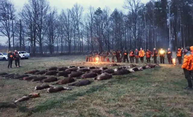 Kopi Af Hjemmeside Og PDF Format 169 (17) (1)