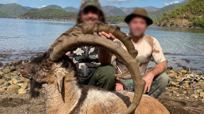 Skærmbillede 2023 12 04 162558